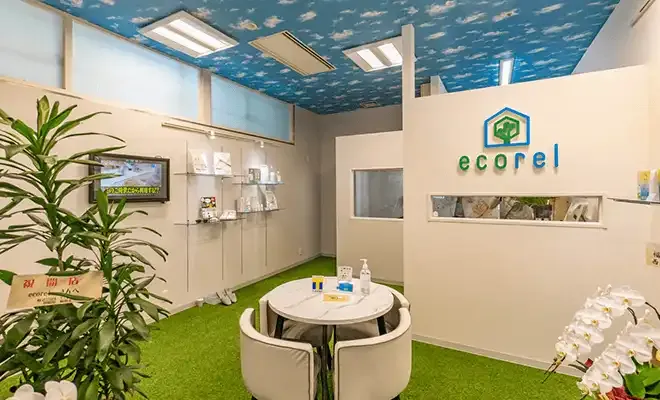 ecorel 店内。白い壁と青空柄の天井、人工芝の床の明るい店内